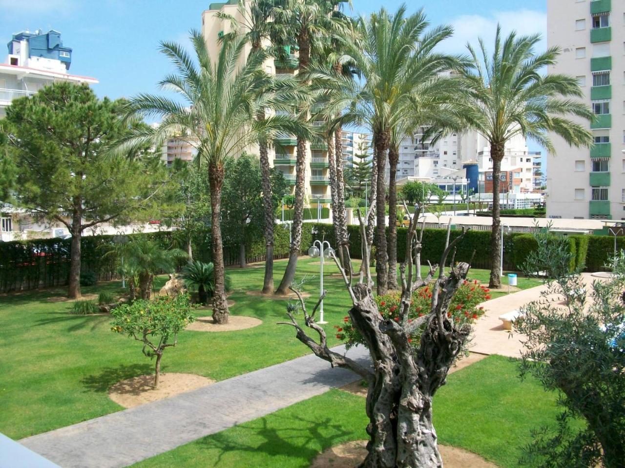 Floresta Gandia - Solo Familias Playa de Gandia Exterior photo